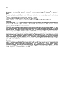 P271 NUOVA MUTAZIONE DEL GENE KIT IN UNA