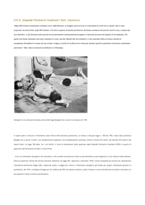 O.P.G. (Ospedali Psichiatrici Giudiziari)" Dott. Cannavicci