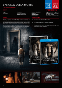 scheda film