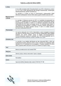 VARICELLA-ZOSTER VIRUS (VZV) Ulteriori informazioni o