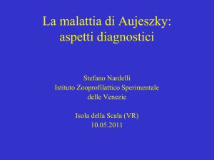 La pseudorabbia - Malattia di Aujeszky