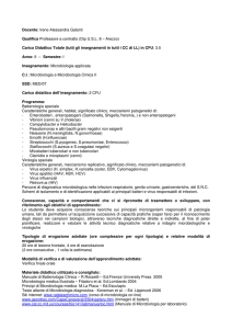 Docente: Irene Alessandra Galanti Qualifica Professore a