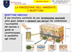 LA PERCEZIONE DELL`AMBIENTE: I RECETTORI
