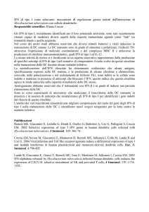 IFN di tipo I come adiuvante: meccanismi di regolazione genica