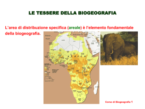 Nessun titolo diapositiva