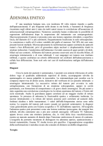 adenoma epatico - Ospedali Riuniti di Ancona