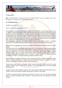la Silene dioica è una piccola pianta con bella fioritura rossa che