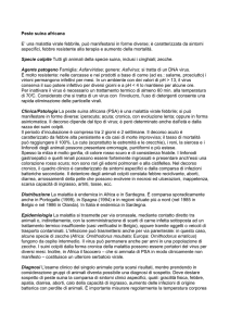 Peste suina africana E` una malattia virale febbrile, può manifestarsi