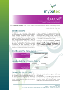 rhodovit.