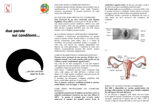 condilomi genitali