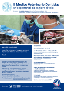 Il Medico Veterinario Dentista
