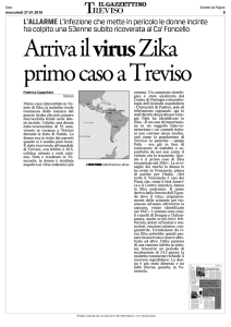 Arriva il virus Zika primo caso a Treviso