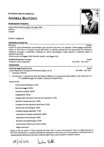 Curriculum