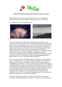 I leopardi dei Monti Udzungwa della Tanzania: densità ed ecologia
