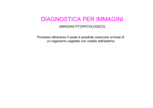 DIAGNOSTICA PER IMMAGINI