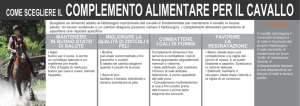 come scegliere il complemento alimentare per il cavallo