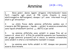 Ammine - e
