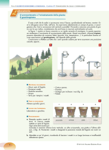 file PDF - Istituto Italiano Edizioni Atlas