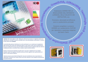 Realizziamo DIMMER PER LA REGOLAZIONE DELL`INTENSITA