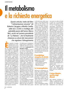 Il metabolismo e la richiesta energetica