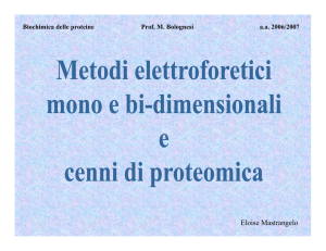 Immobiline