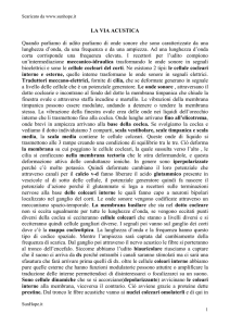 la via acustica