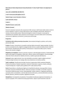 Programma completo - Dipartimento di Chimica