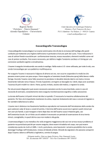 Informativa esame - Cardiologia Pediatrica