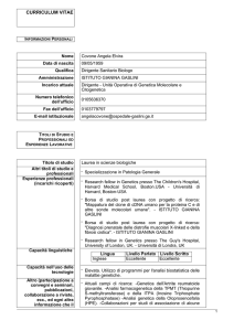 curriculum vitae