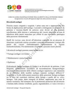 Diverticoli esofagei Possono essere congeniti o acquisiti. I primi