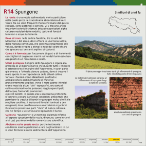 Spungone - Ambiente - Regione Emilia Romagna