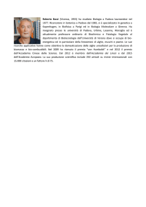 Curriculum Vitae