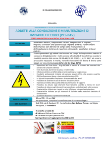 addetti alla conduzione e manutenzione di impianti elettrici (pes-pav)
