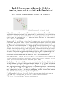 Tesi di laurea specialistica in biofisica teorica/meccanica