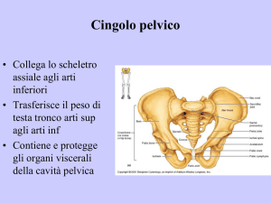 Nessun titolo diapositiva
