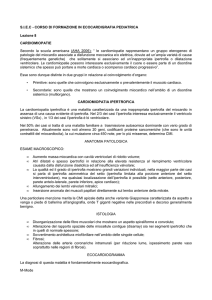 S.I.E.C - CORSO DI FORMAZIONE IN ECOCARDIGRAFIA