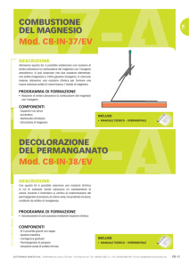 - Elettronica Veneta