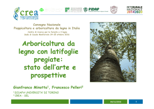 05_MINOTTA_Arboricoltura da legno con latifoglie pregiate
