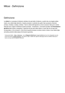 Mitosi - Definizione - Magazine Delle Donne