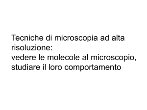 Diapositiva 1