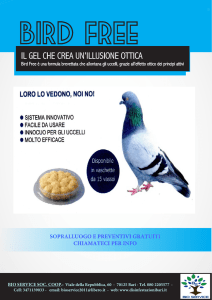 IL GEL CHE CREA UN`ILLUSIONE OTTICA