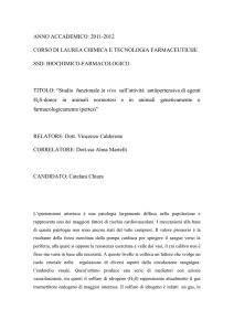 ANNO ACCADEMICO: 2011-2012 CORSO DI LAUREA CHIMICA E