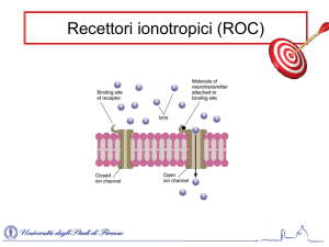Recettori ionotropici (ROC)