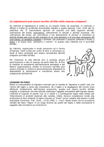 Un tagliaboschi può essere iscritto all`Albo delle imprese artigiane?