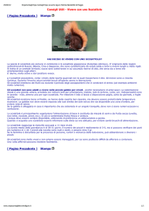 Vivere con uno Scoiattolo