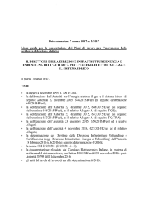 Determinazione 7 marzo 2017 n. 2/2017 Linee guida per la