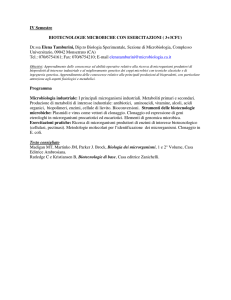 IV Semestre BIOTECNOLOGIE MICROBICHE CON ESERCITAZIONI