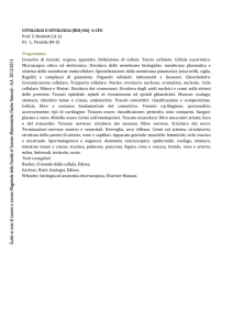 Programma - Macroarea di Scienze