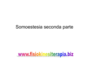 Somoestesia seconda parte
