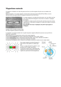 3_1 Magnetismo naturale